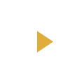Play Icon